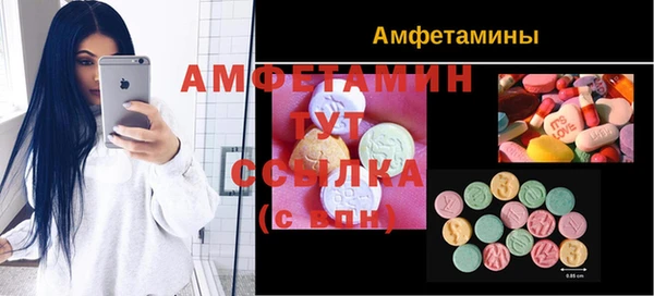 сатива Козельск
