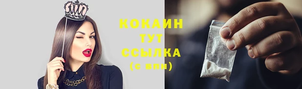 мяу мяу мука Алексин
