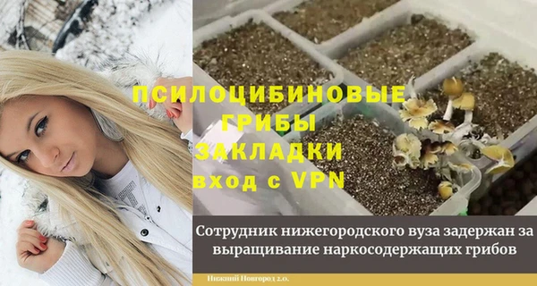 мяу мяу мука Алексин