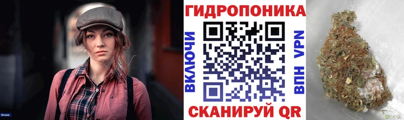 Бошки Шишки ГИДРОПОН  Кувшиново 